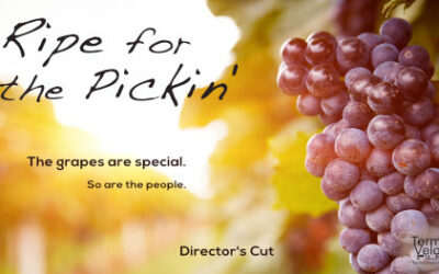Watch Ripe for the Pickin’ (Short FIlm)
